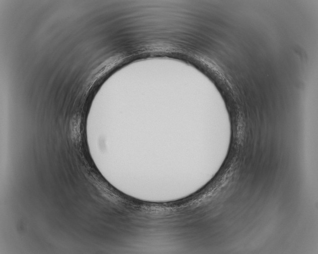 X0000112200873200909181531