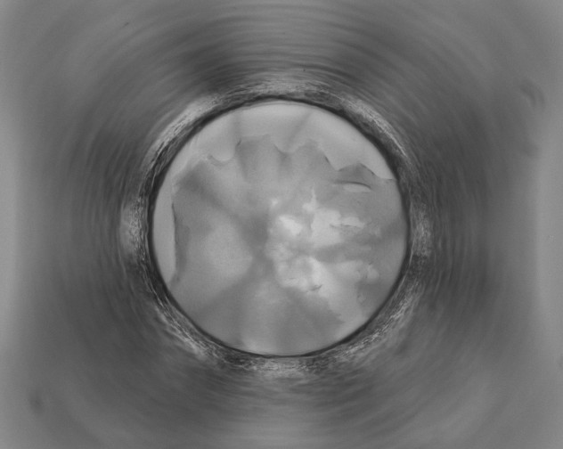 X0000112200874200909181531
