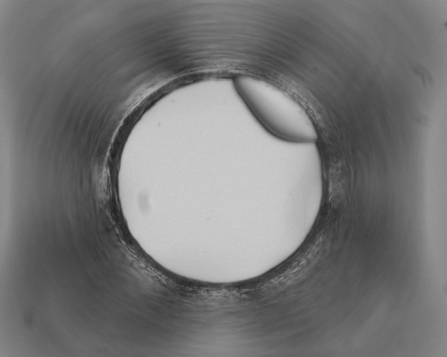 X0000112200876200909181531