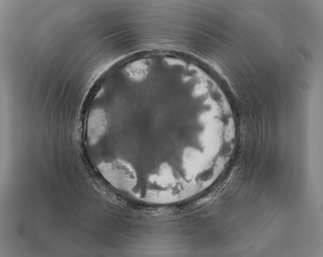 X0000112200879200909181531