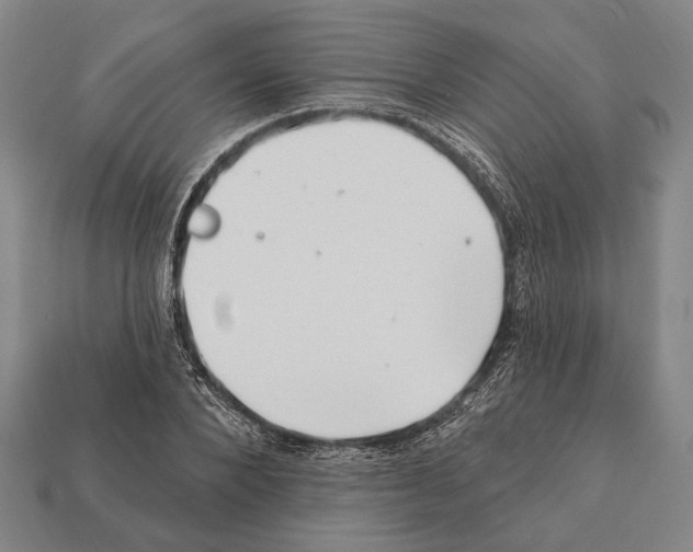 X0000112200880200909181531