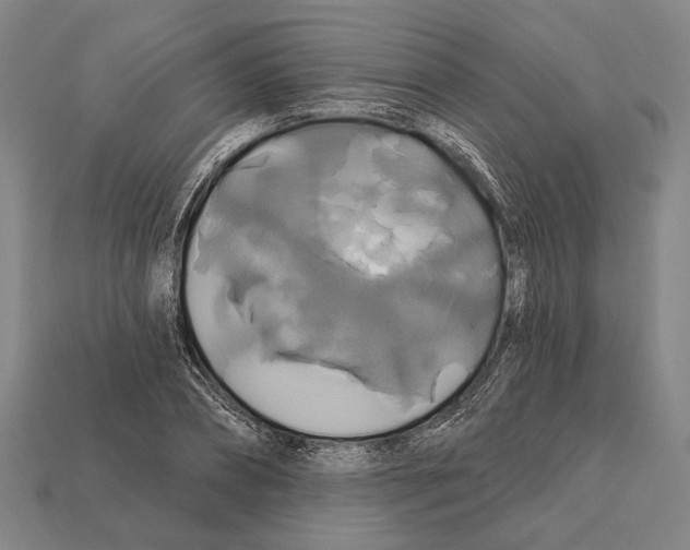 X0000112200882200909181531
