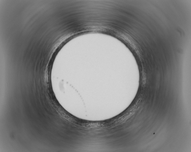X0000112200883200909181531