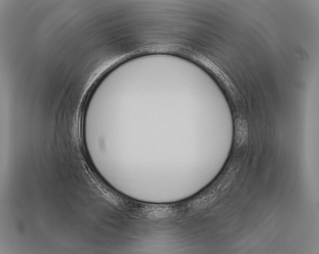 X0000112200886200909181531