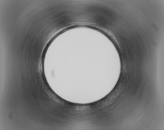 X0000112200887200909181531