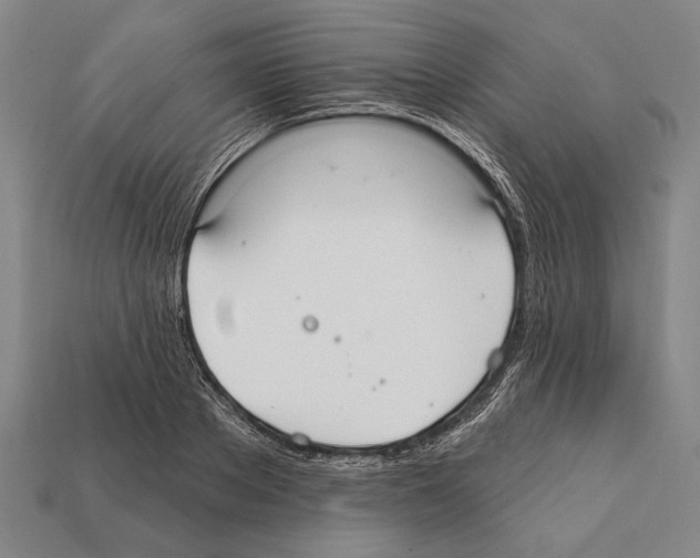 X0000112200889200909181531