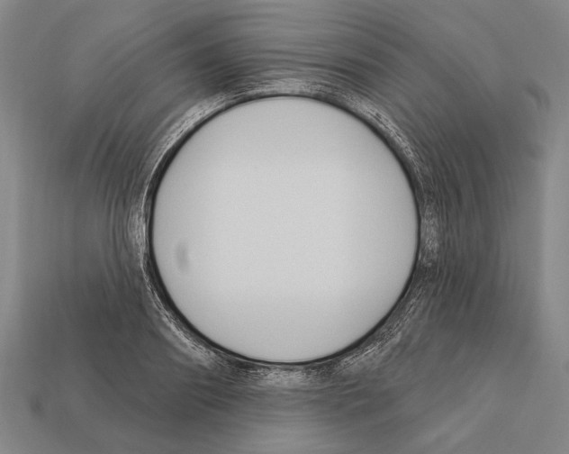 X0000112200890200909181531