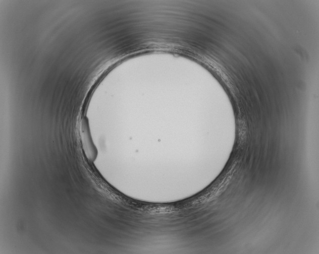 X0000112200891200909181531