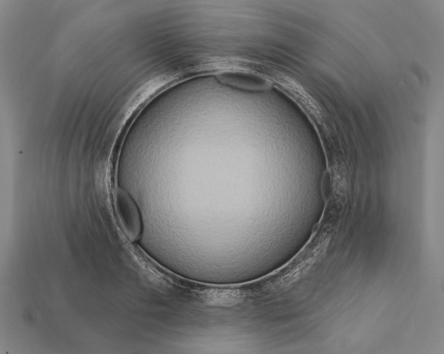 X0000112200893200909181531