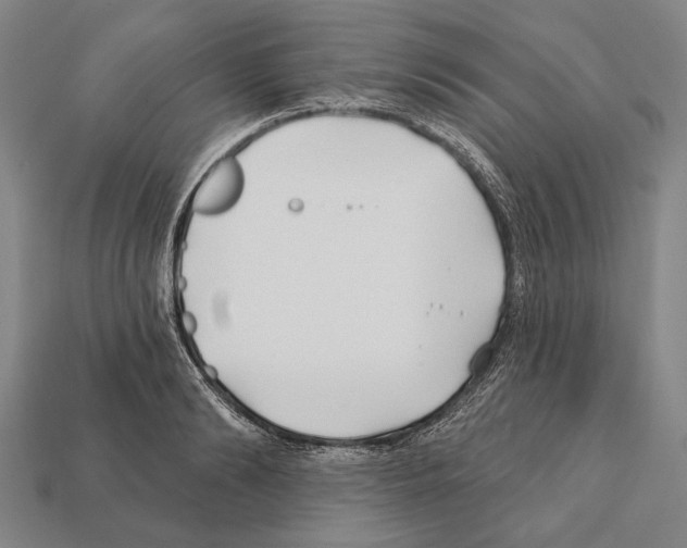 X0000112200894200909181531