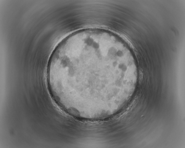 X0000112200895200909181531