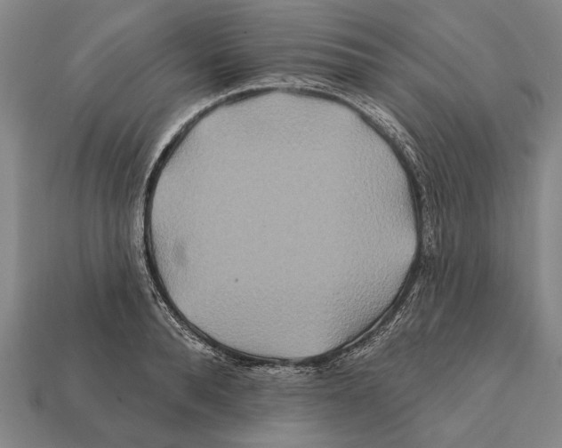X0000112200896200909181531