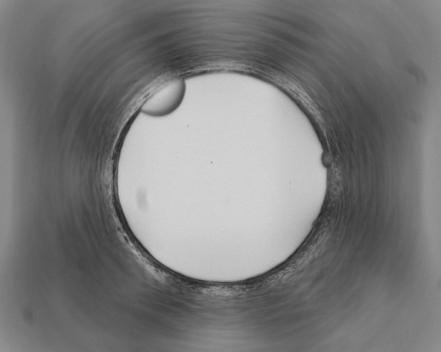 X0000112200898200909181531