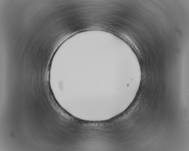 X0000112200900200909181531