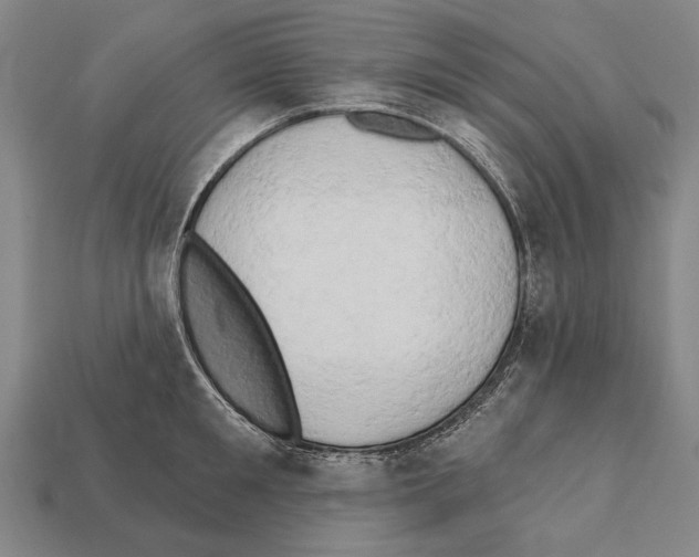 X0000112200901200909181531