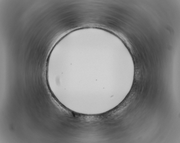 X0000112200903200909181531