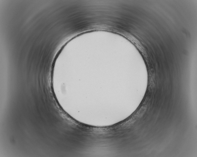 X0000112200904200909181531