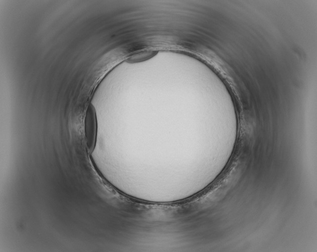 X0000112200905200909181531