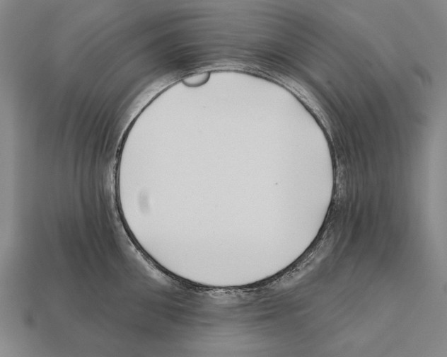 X0000112200906200909181531