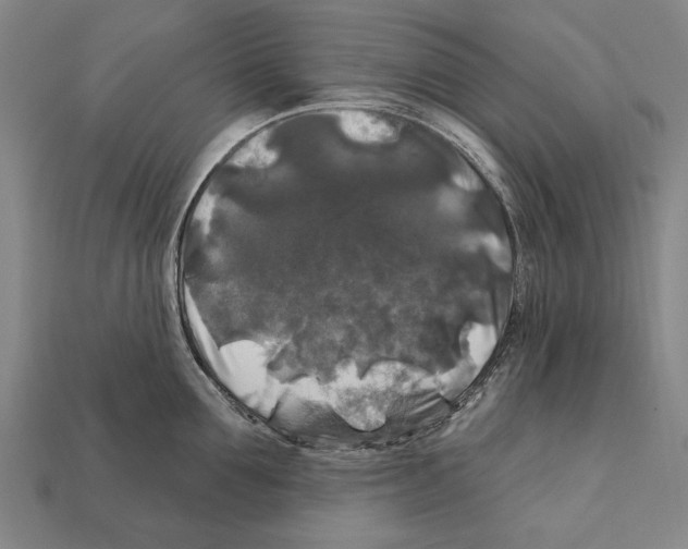 X0000112200907200909181531