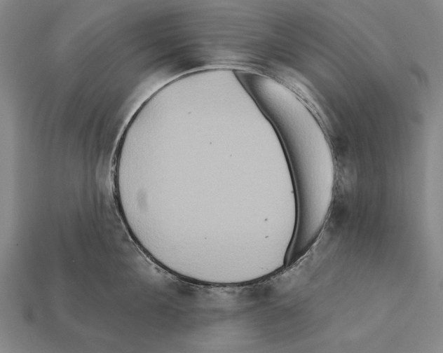 X0000112200908200909181531