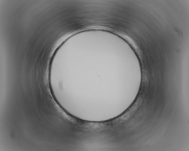 X0000112200910200909181531