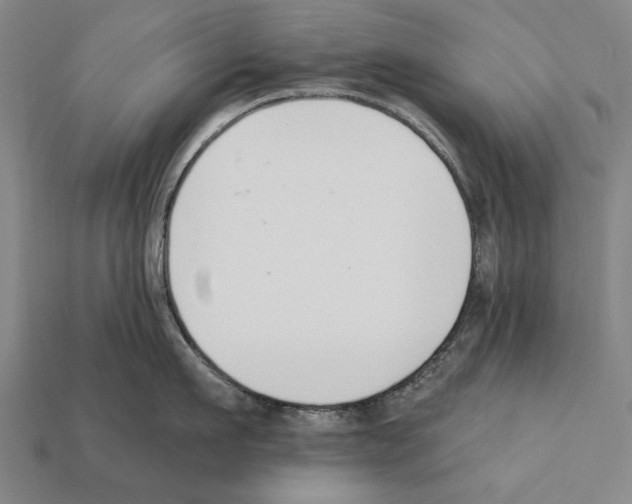 X0000112200911200909181531