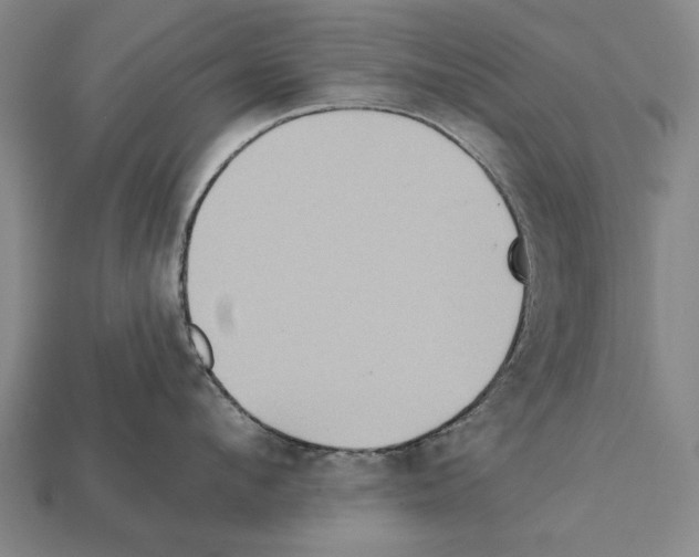 X0000112200912200909181531