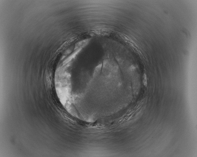 X0000112200915200909181530