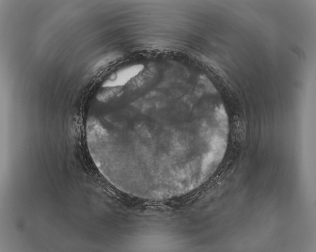X0000112200918200909181530