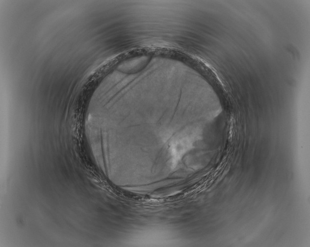 X0000112200919200909181530