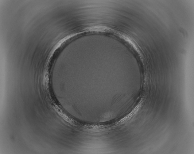 X0000112200923200909181530