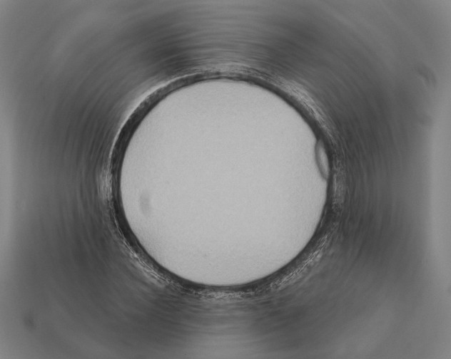 X0000112200924200909181530