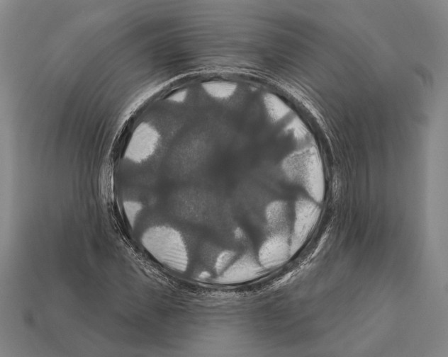 X0000112200925200909181530