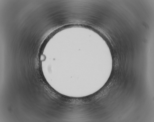 X0000112200927200909181530