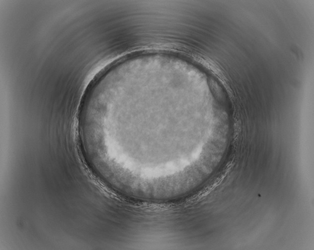 X0000112200928200909181530