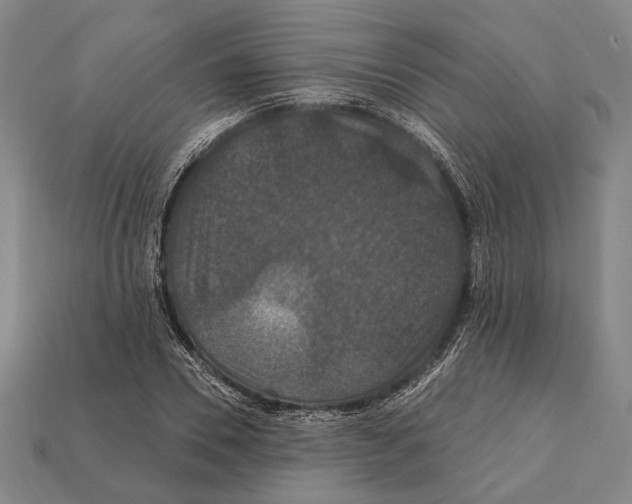 X0000112200930200909181530