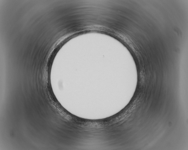 X0000112200931200909181530