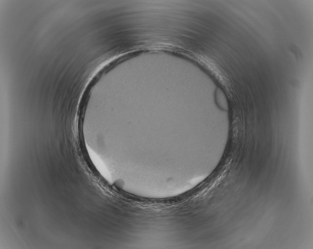 X0000112200932200909181530