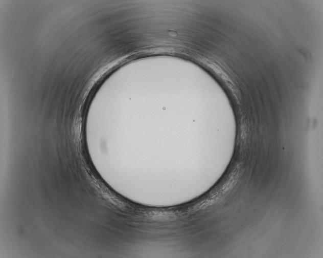 X0000112200933200909181530