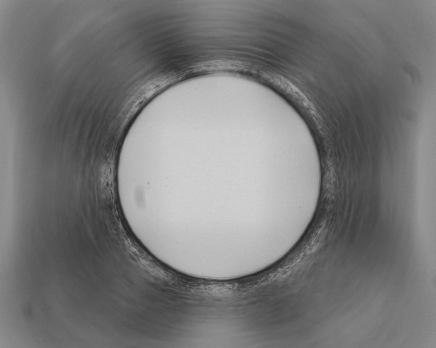 X0000112200937200909181530