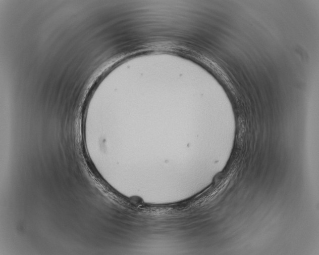X0000112200939200909181530