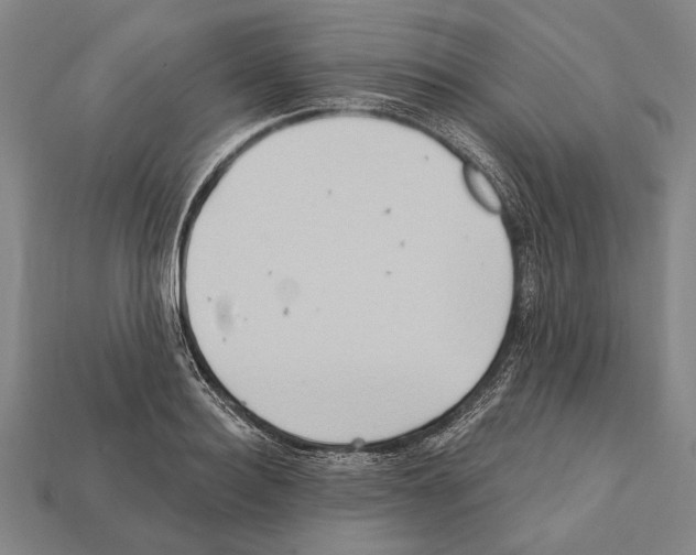 X0000112200940200909181530