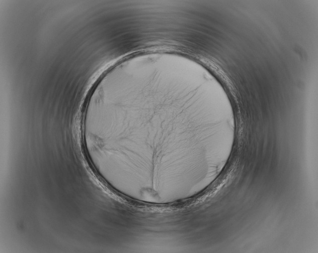 X0000112200941200909181530