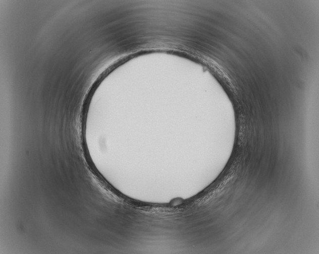 X0000112200942200909181530