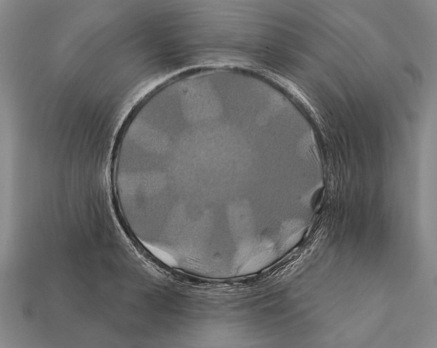 X0000112200943200909181530