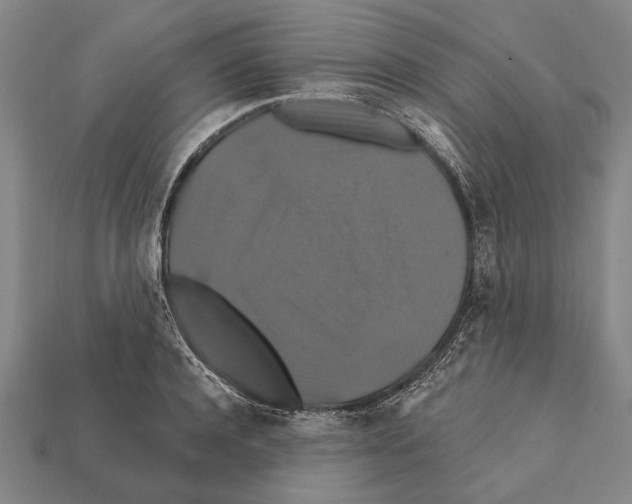 X0000112200944200909181530