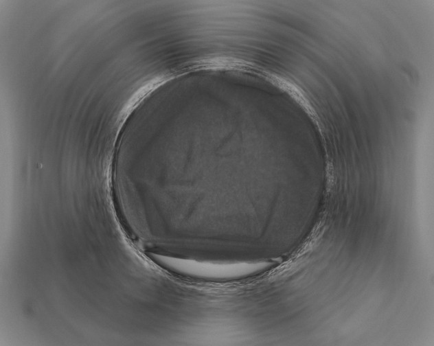 X0000112200946200909181530