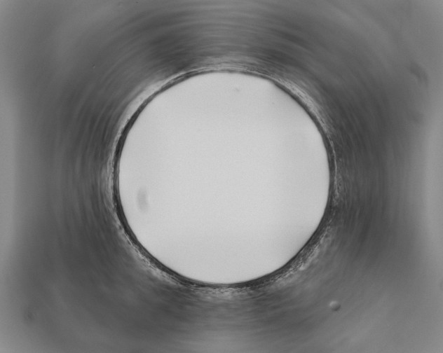 X0000112200949200909181531