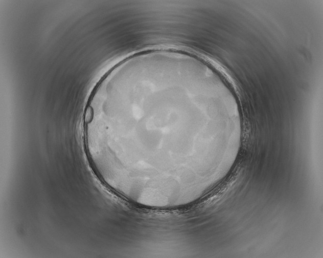 X0000112200951200909181531